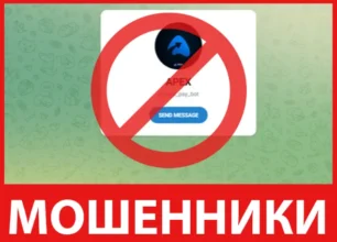 Apex Bot лицевая сторона скрин