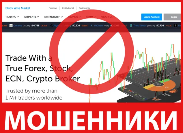 Block Wise Market лицевая сторона скрин