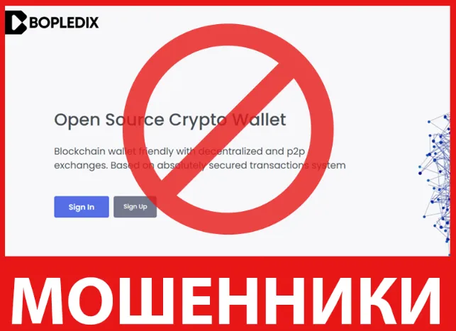 Bopledix лицевая сторона скрин
