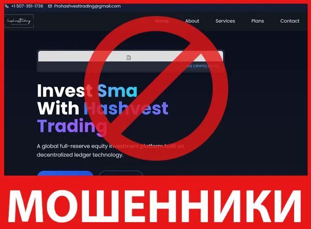 Hashvest Trading лицевая сторона скрин