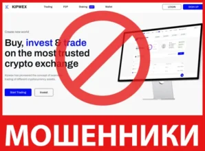 Kipwex лицевая сторона скрин