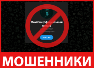 Maxilora лицевая сторона скрин