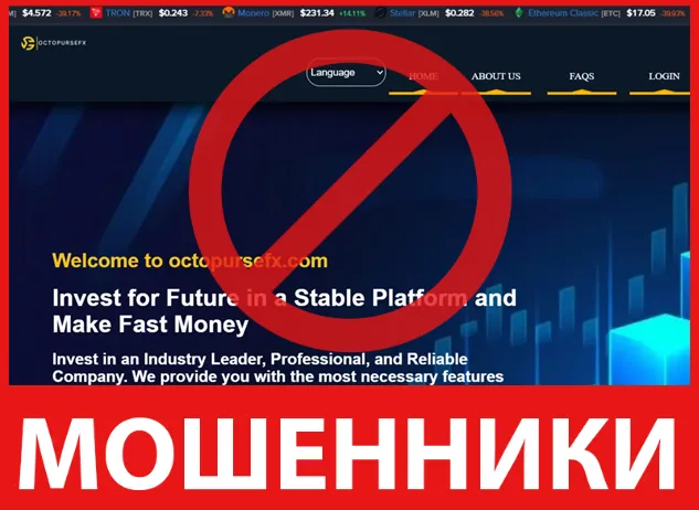 Octopursefx лицевая сторона скрин