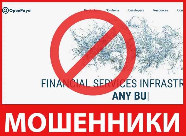 OpenPayd лицевая сторона скрин