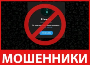 PrimeFox лицевая сторона скрин