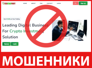 Techstackprofit лицевая сторона скрин