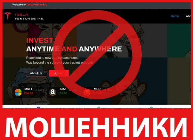 Tesla Ventures Inc лицевая сторона скрин
