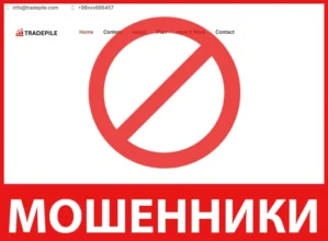 Tradepile лицевая сторона скрин