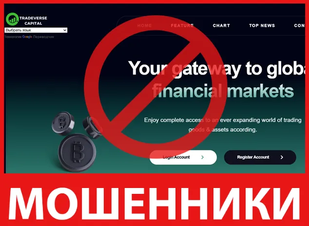 Tradeverse Capital лицевая сторона скрин