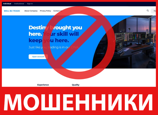 Well Bu TradeGroup лицевая сторона скрин