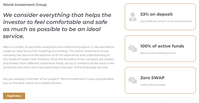 World Investment Group 2 скрин