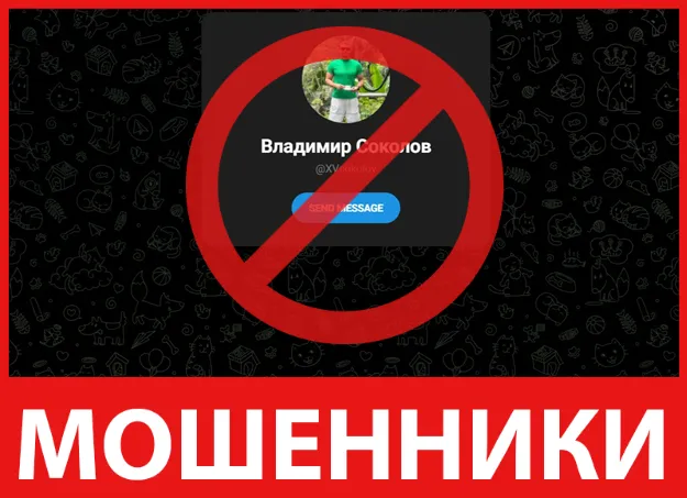 Владимир Соколов лицевая сторона скрин