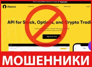 Alpaca лицевая сторона скрин