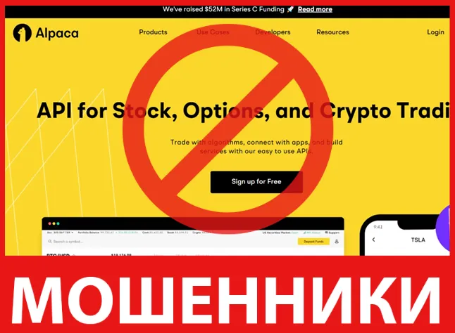 Alpaca лицевая сторона скрин