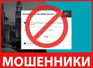 Bay Bridge Advisors лицевая сторона скрин