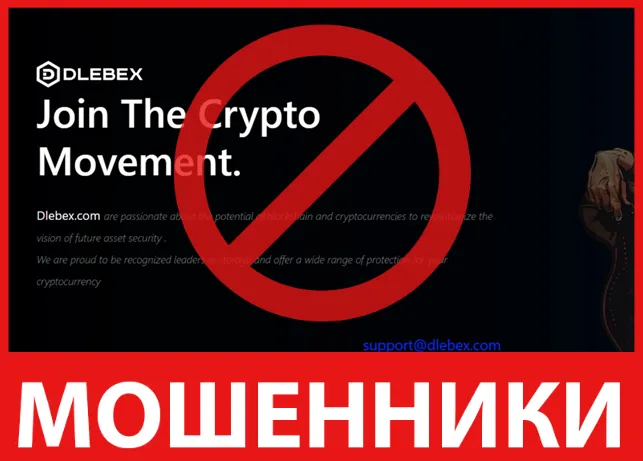 Dlebex лицевая сторона скрин