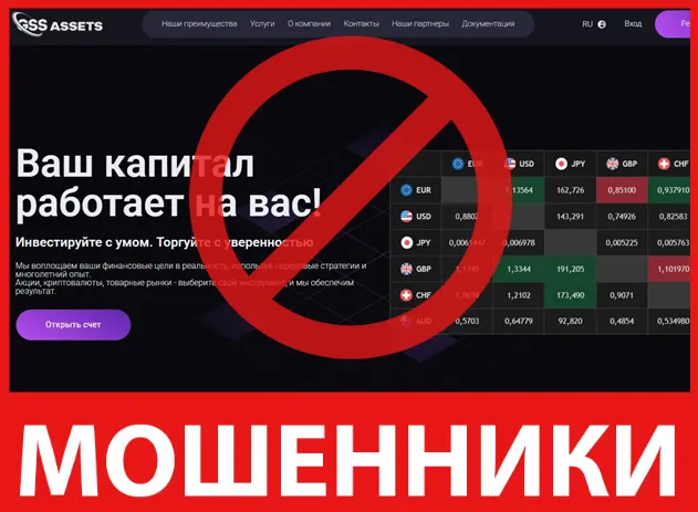 G.S.S. ASSETS лицевая сторона скрин