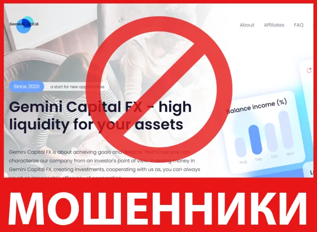 Gemini Capital FX лицевая сторона скрин