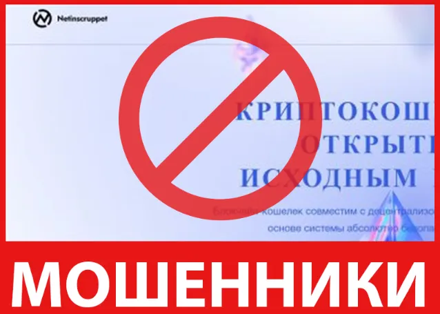 Netinscruppet лицевая сторона скрин