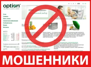 Option лицевая сторона скрин