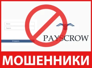 Payscrow Trader лицевая сторона скрин