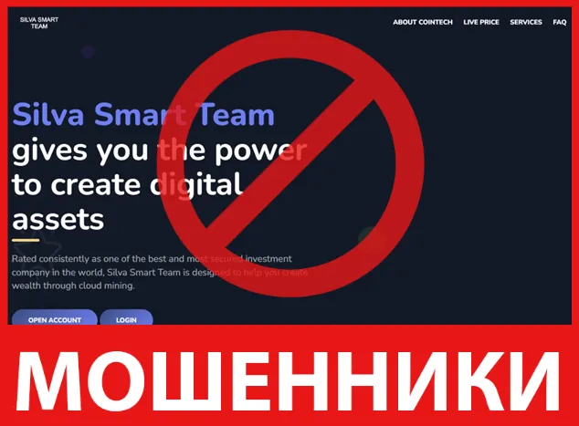 Silva Smart Team лицевая сторона скрин