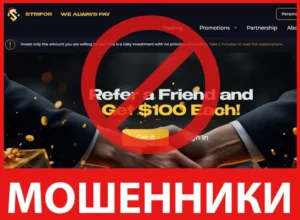 StriFor лицевая сторона скрин