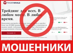 TRADERWHALE лицевая сторона скрин