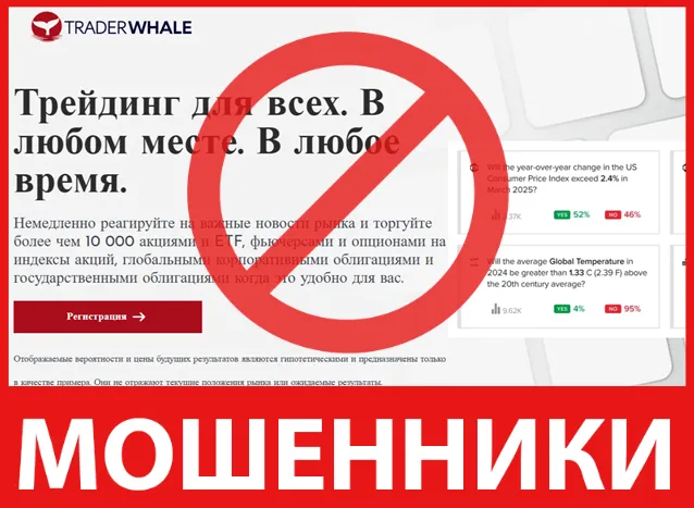 TRADERWHALE лицевая сторона скрин