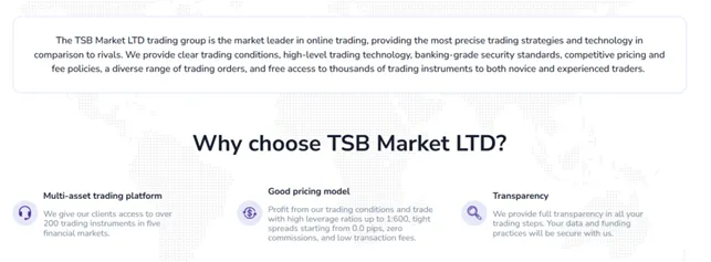 TSB Market LTD 1 скрин