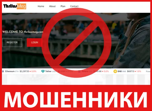 Thrilusmeg Investment лицевая сторона скрин