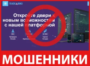 Trade Bino лицевая сторона скрин