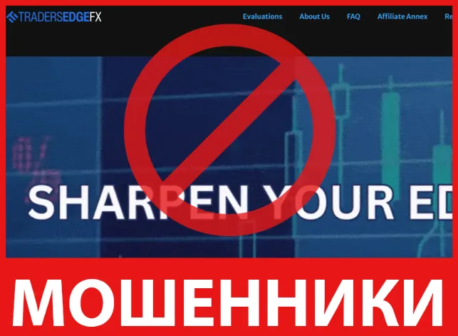 TraderSedgeFX лицевая сторона скрин