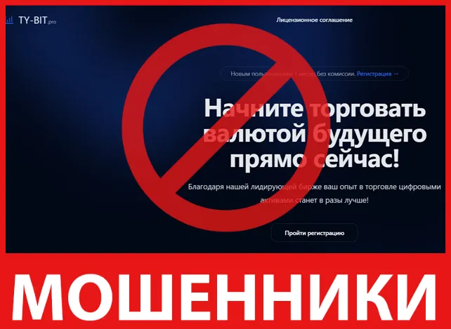 Ty Bit лицевая сторона скрин