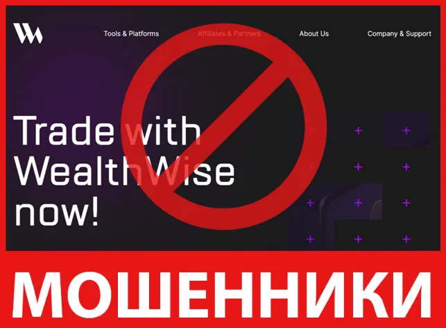 Wealth Wise лицевая сторона скрин