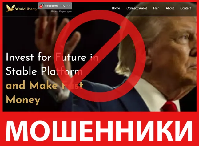 Wlfsystems лицевая сторона скрин