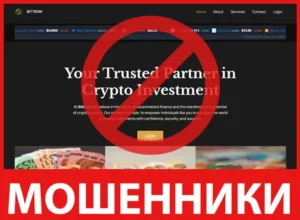 WorldLiberty лицевая сторона скрин