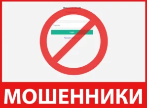 Xnes Trading Ltd лицевая сторона скрин