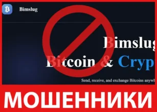 Bimslug лицевая сторона скрин