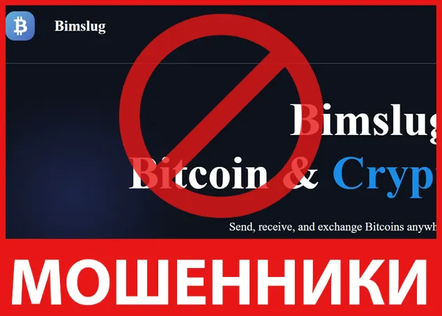 Bimslug лицевая сторона скрин