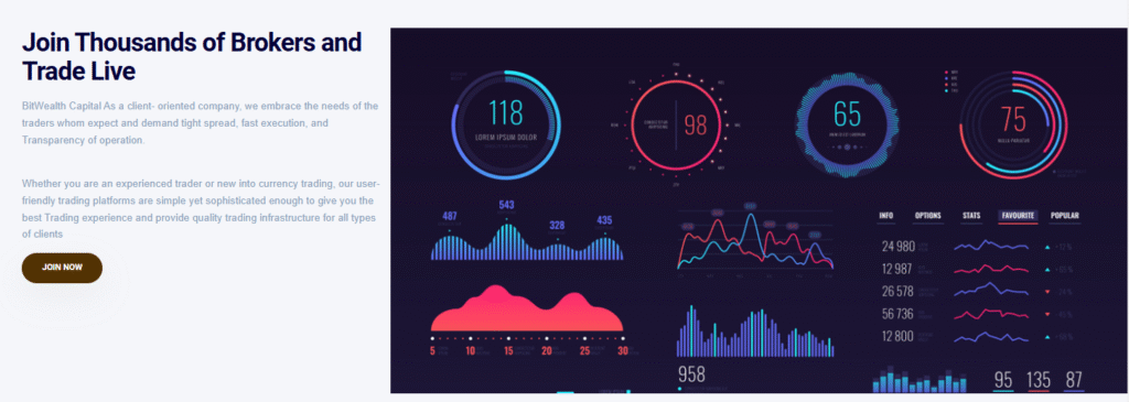 BitWealth Capital 1 скрин