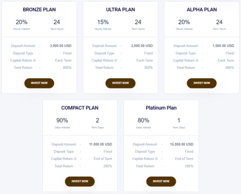 BitWealth Capital 2 скрин