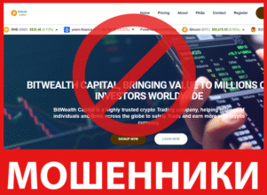 BitWealth Capital лицевая сторона скрин