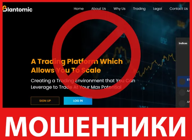 Blantomic лицевая сторона скрин