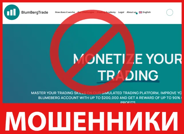 BlumBerg лицевая сторона скрин