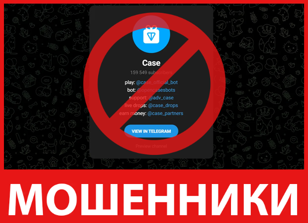 Case лицевая сторона скрин