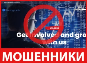 DensityTradFX лицевая сторона скрин