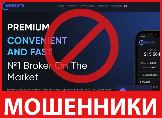 Domking Capital лицевая сторона скрин