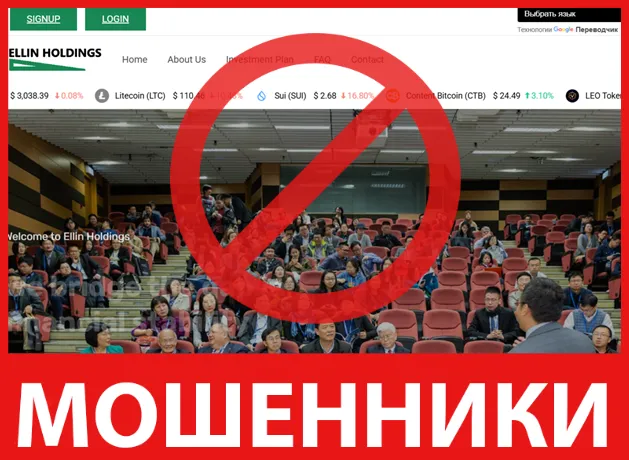 Ellin Holdings лицевая сторона скрин