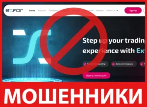 ExFor лицевая сторона скрин